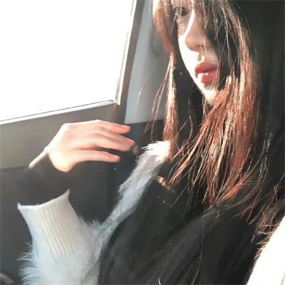 暴龙真相
